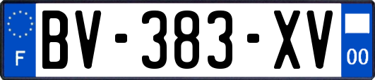 BV-383-XV