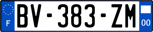 BV-383-ZM