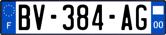 BV-384-AG