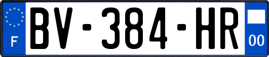 BV-384-HR