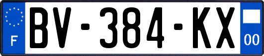 BV-384-KX