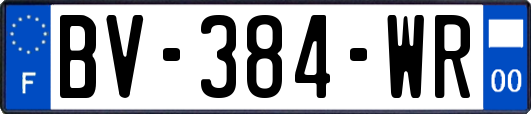 BV-384-WR