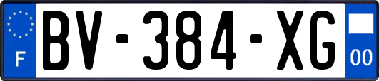 BV-384-XG