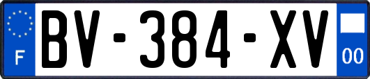 BV-384-XV