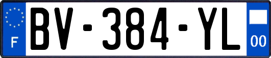 BV-384-YL