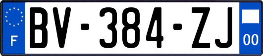 BV-384-ZJ