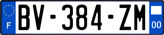 BV-384-ZM