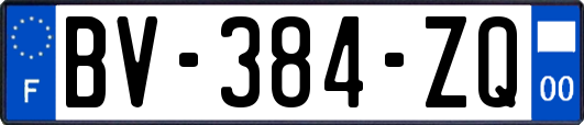 BV-384-ZQ