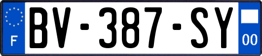 BV-387-SY