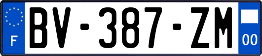 BV-387-ZM