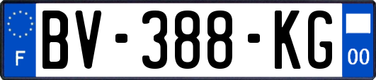 BV-388-KG