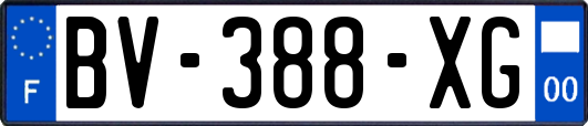 BV-388-XG