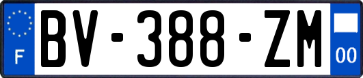 BV-388-ZM