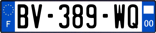 BV-389-WQ