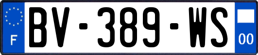 BV-389-WS