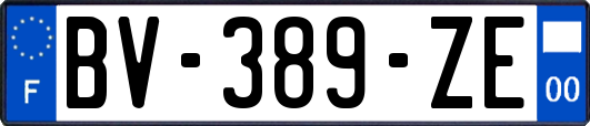 BV-389-ZE