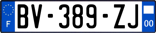 BV-389-ZJ