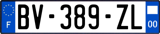 BV-389-ZL