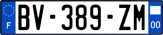 BV-389-ZM