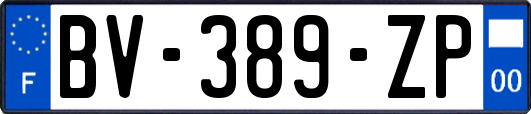 BV-389-ZP