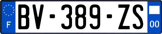 BV-389-ZS