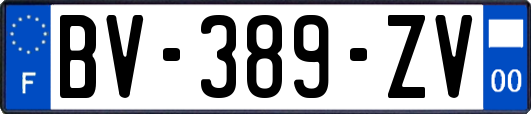 BV-389-ZV