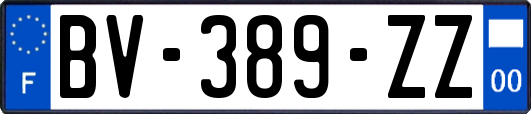 BV-389-ZZ