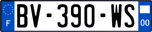 BV-390-WS