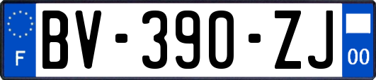 BV-390-ZJ