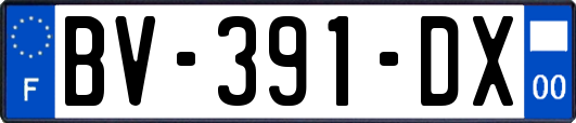 BV-391-DX