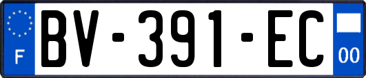 BV-391-EC