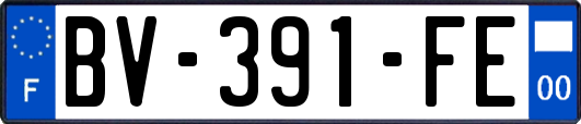BV-391-FE