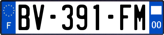 BV-391-FM