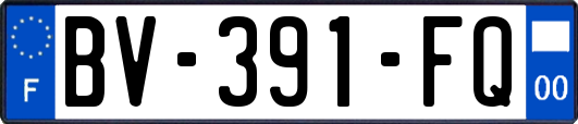 BV-391-FQ