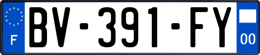 BV-391-FY