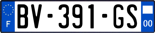 BV-391-GS
