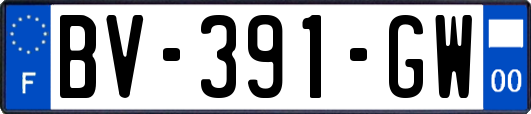 BV-391-GW