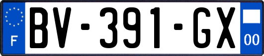 BV-391-GX