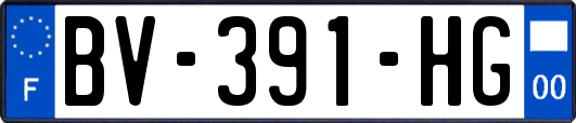 BV-391-HG