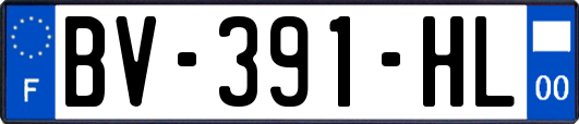 BV-391-HL