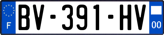 BV-391-HV