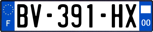 BV-391-HX