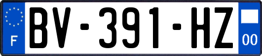 BV-391-HZ
