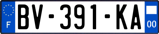 BV-391-KA