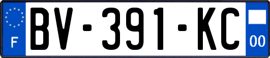 BV-391-KC