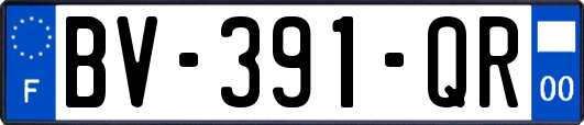 BV-391-QR