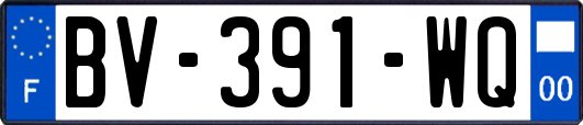 BV-391-WQ