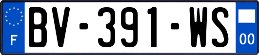 BV-391-WS