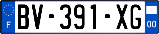 BV-391-XG