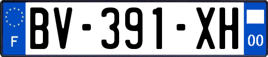 BV-391-XH